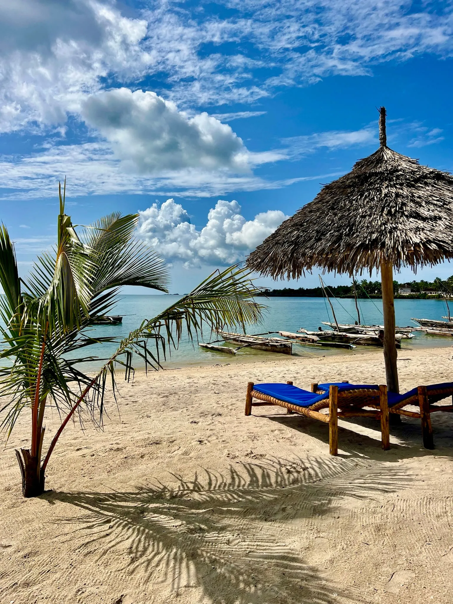 Blue sun loungers under a thatched umbrella on the white sand with palm trees behind
