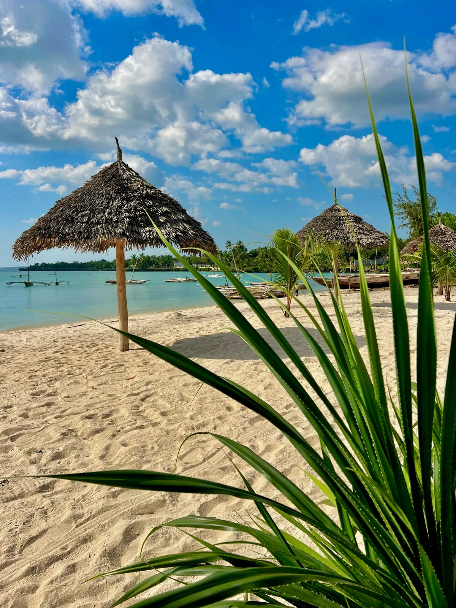 A thatched beach umbrella and palm fronds framing the turquoise sea