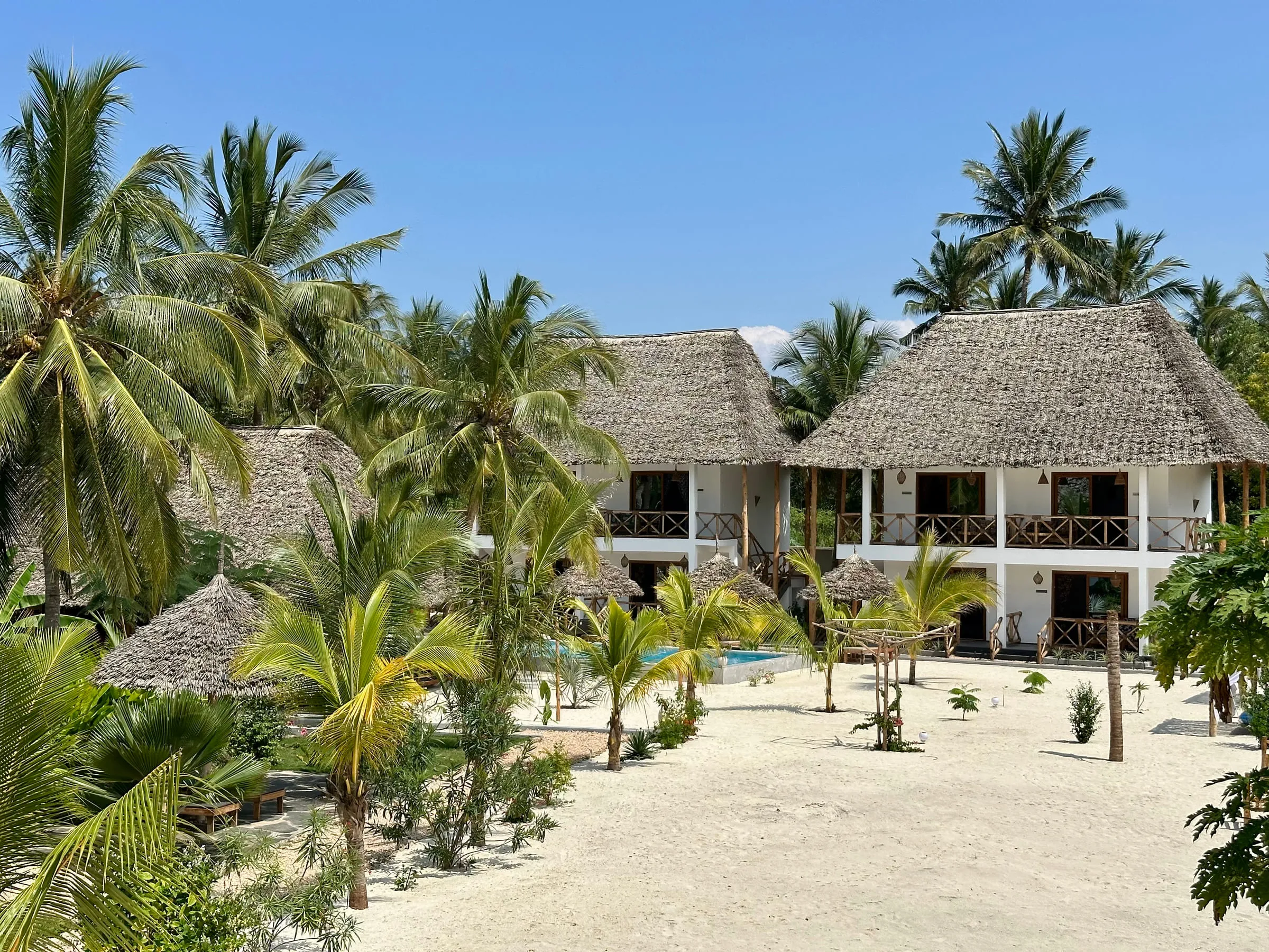 The villas seen from the beach, framed by tall coconut palms under a clear blue sky