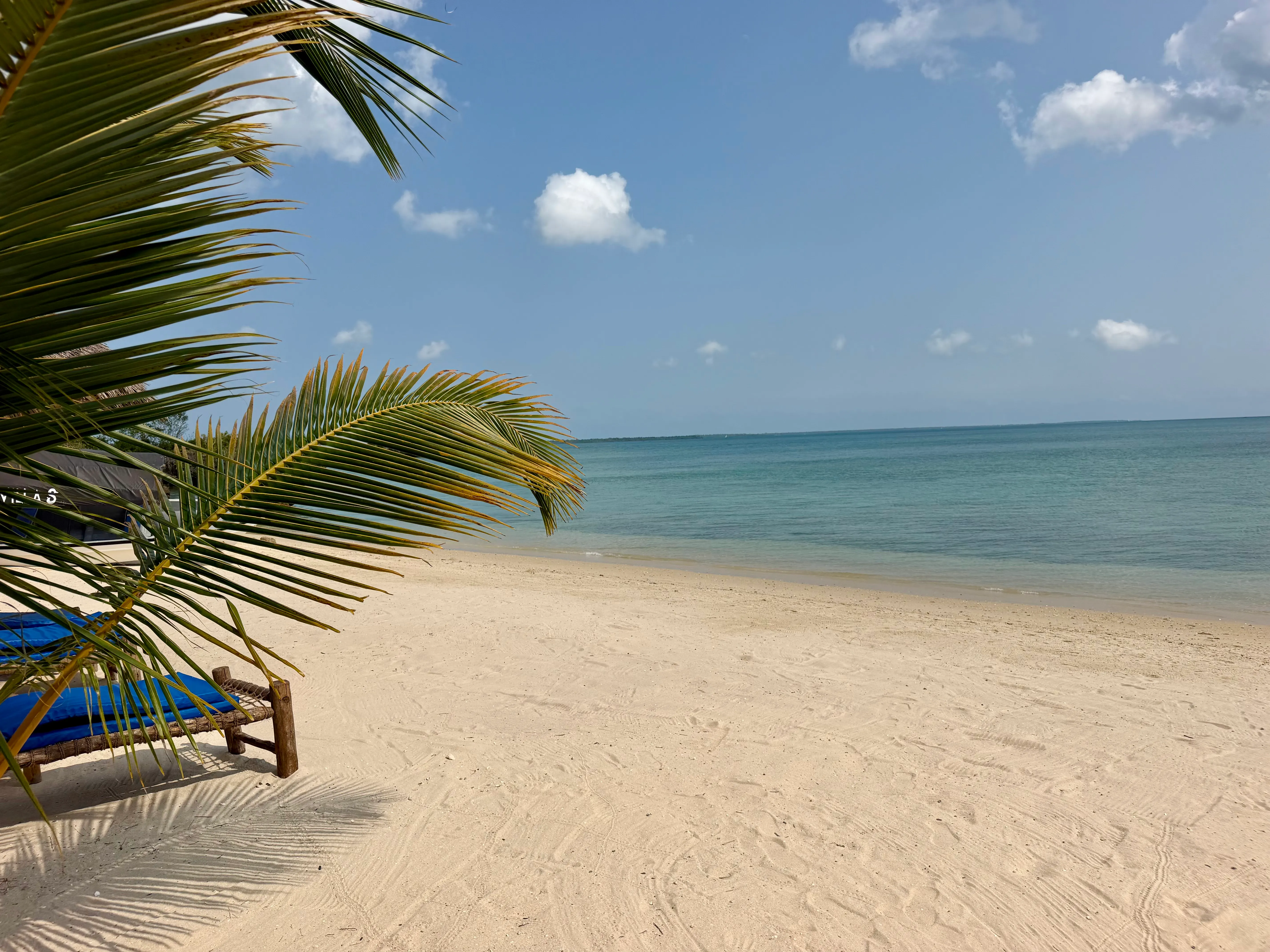 Our beachfront