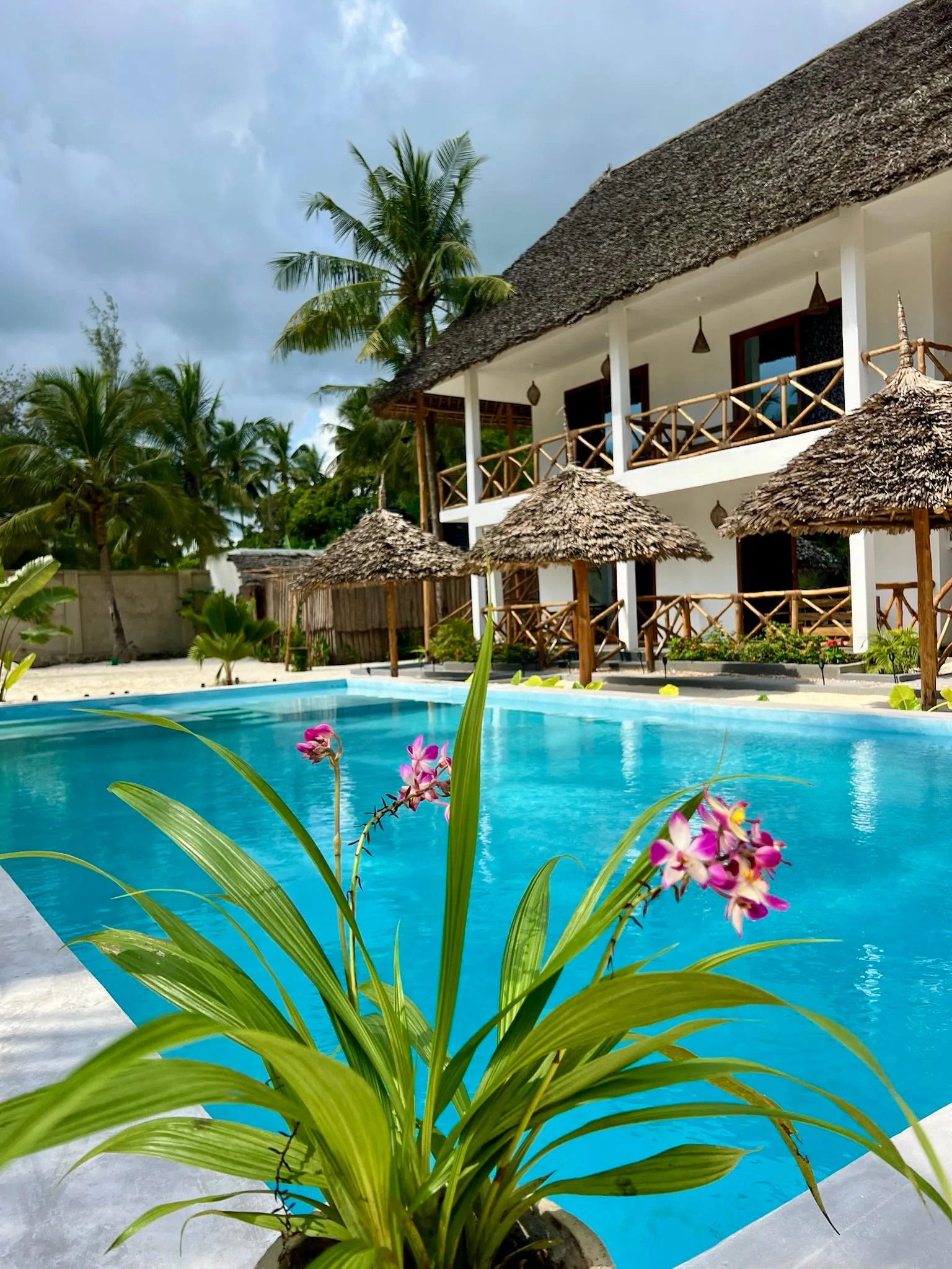 Pink frangipani blossoms in the foreground with the swimming pool and villa behind