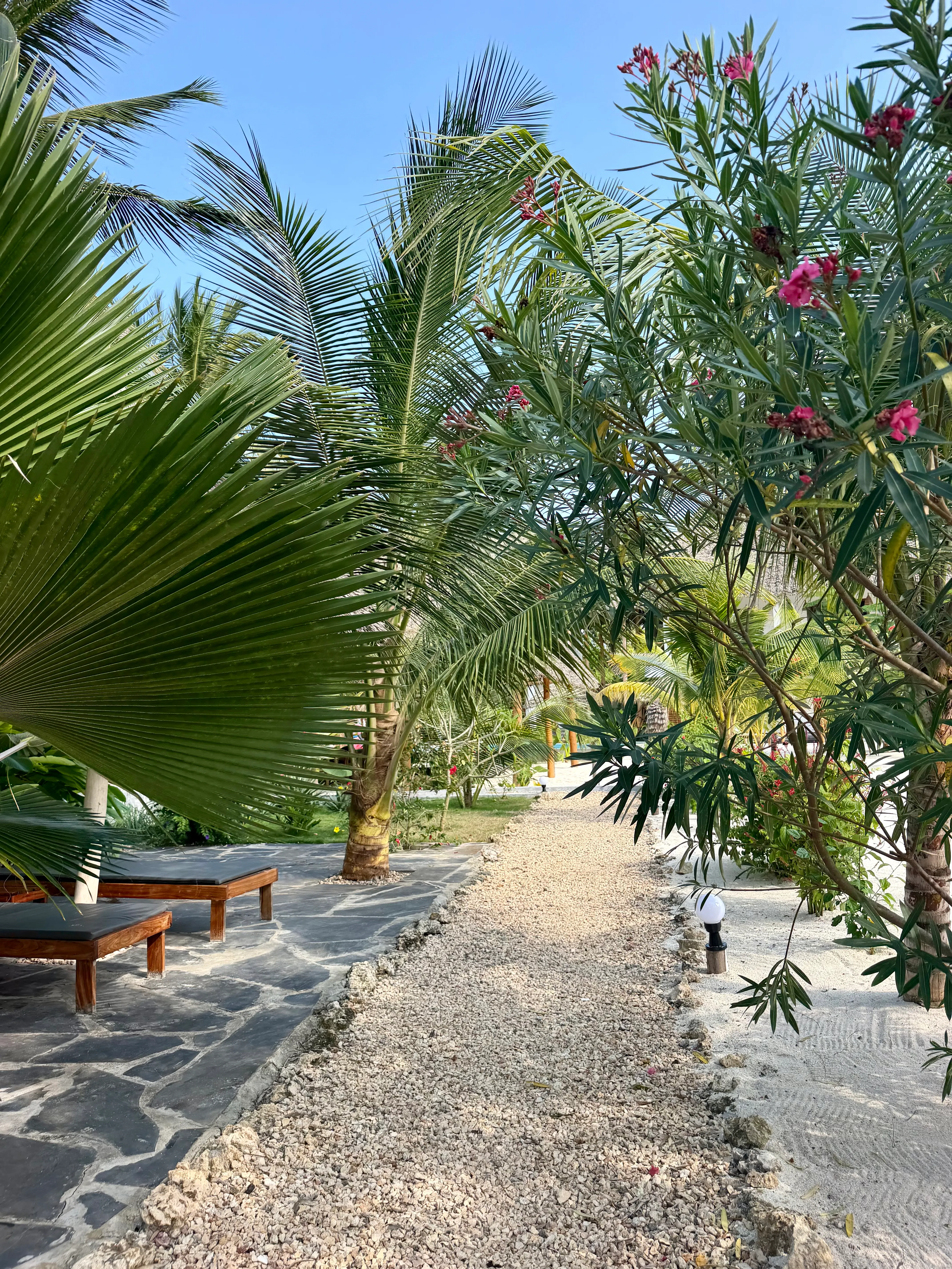 The path from the beach to the villas