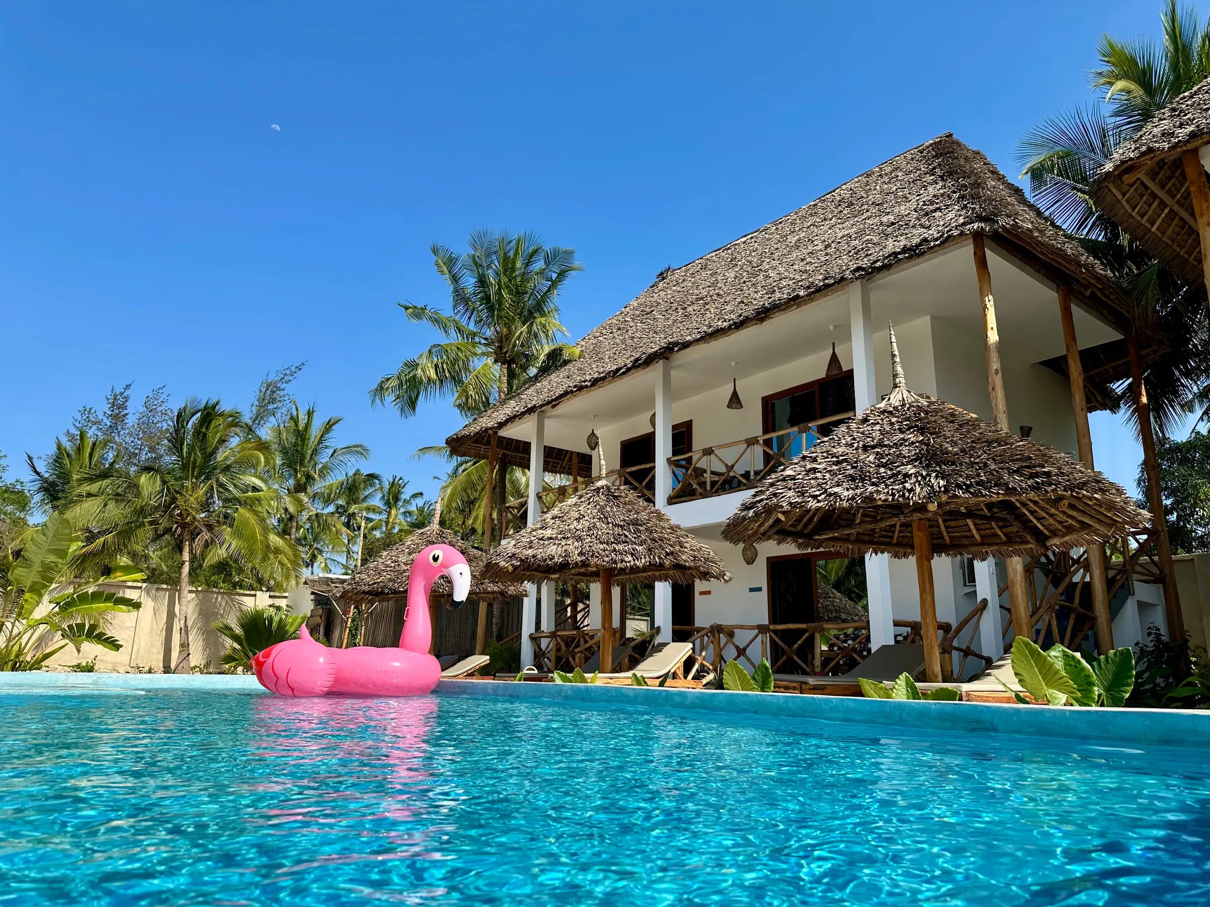 A pink flamingo float drifting on the swimming pool with the villa behind