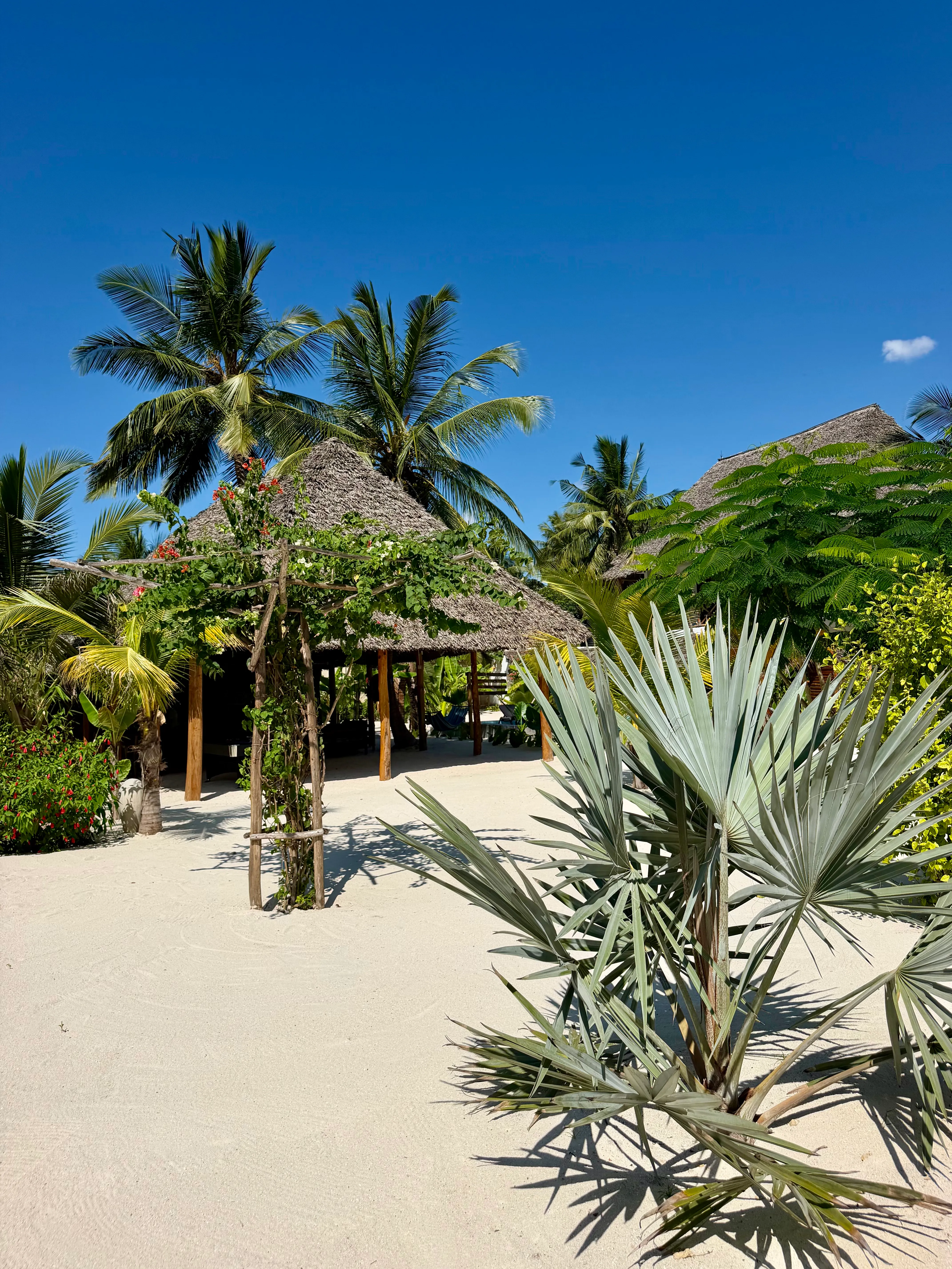 The restaurant/bar seen from the direction of the villas